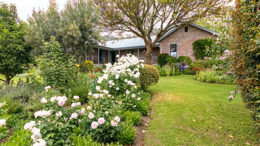 To Let 3 Bedroom Property for Rent in Riebeek West Western Cape